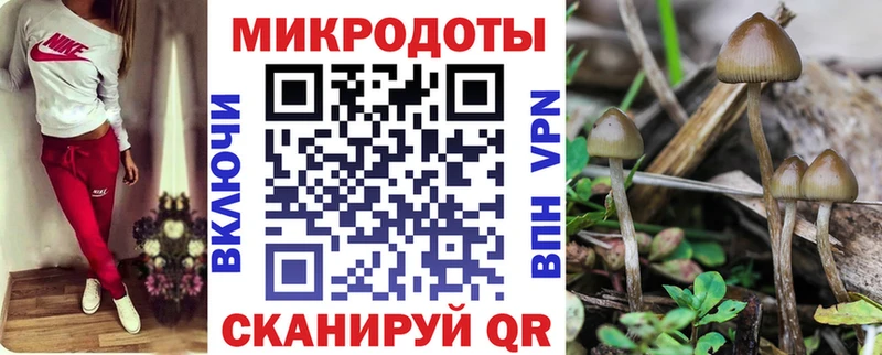 Галлюциногенные грибы Cubensis  где найти наркотики  Усинск 